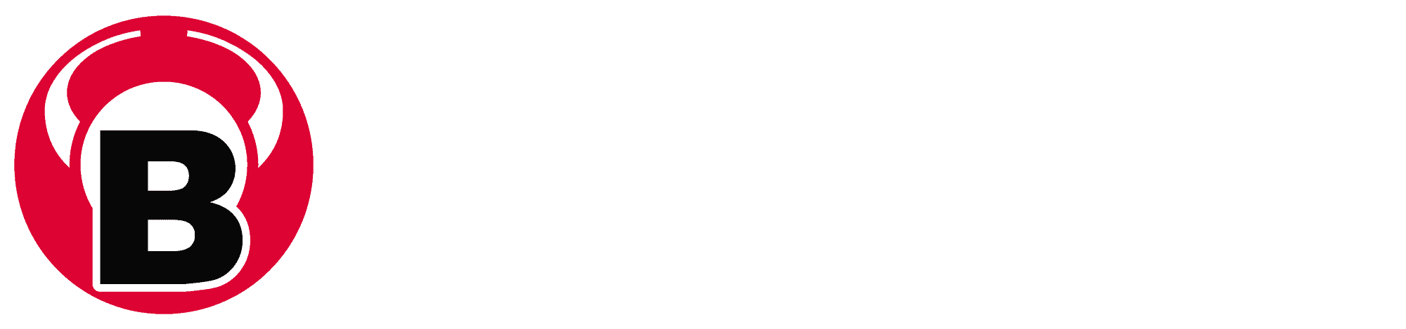 BULL'S Darts Logo
